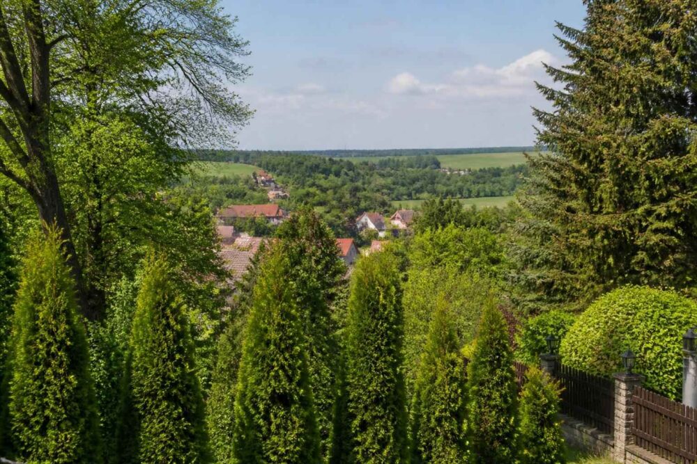 Panorama wsi otoczonej drzewami i polami, oglądana z ogrodu pełnego zieleni